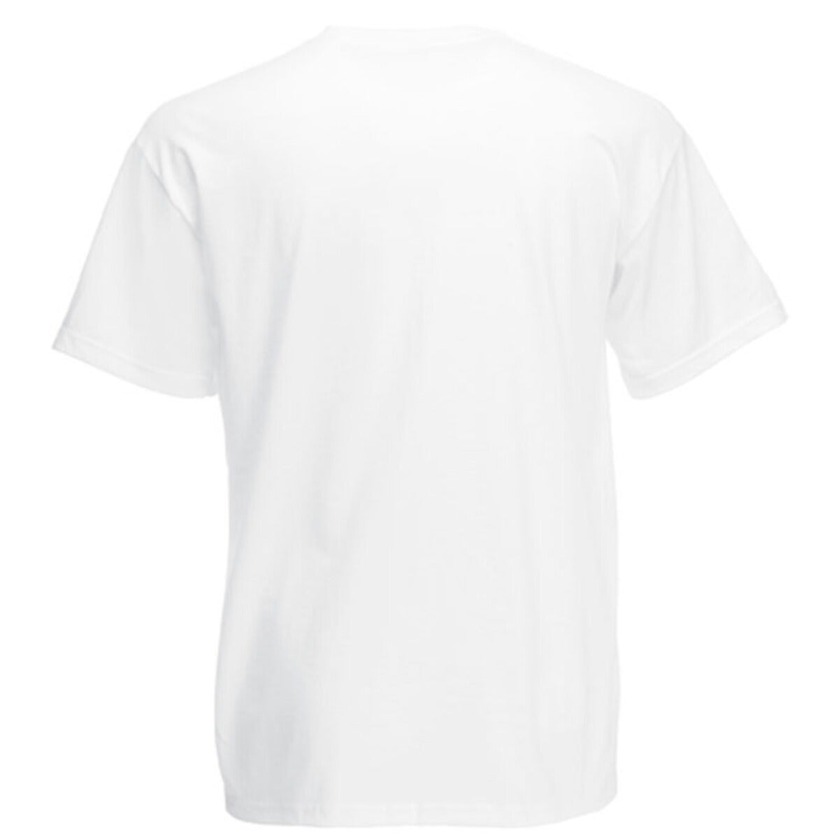 The North Face White T-Shirt for Men